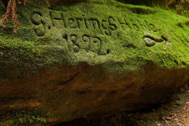 Teufelsgrund, Heringshöhle und Wehlener Grund