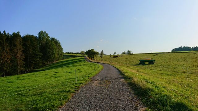 Die Lausitzer Überschiebung im Kohlichtgraben