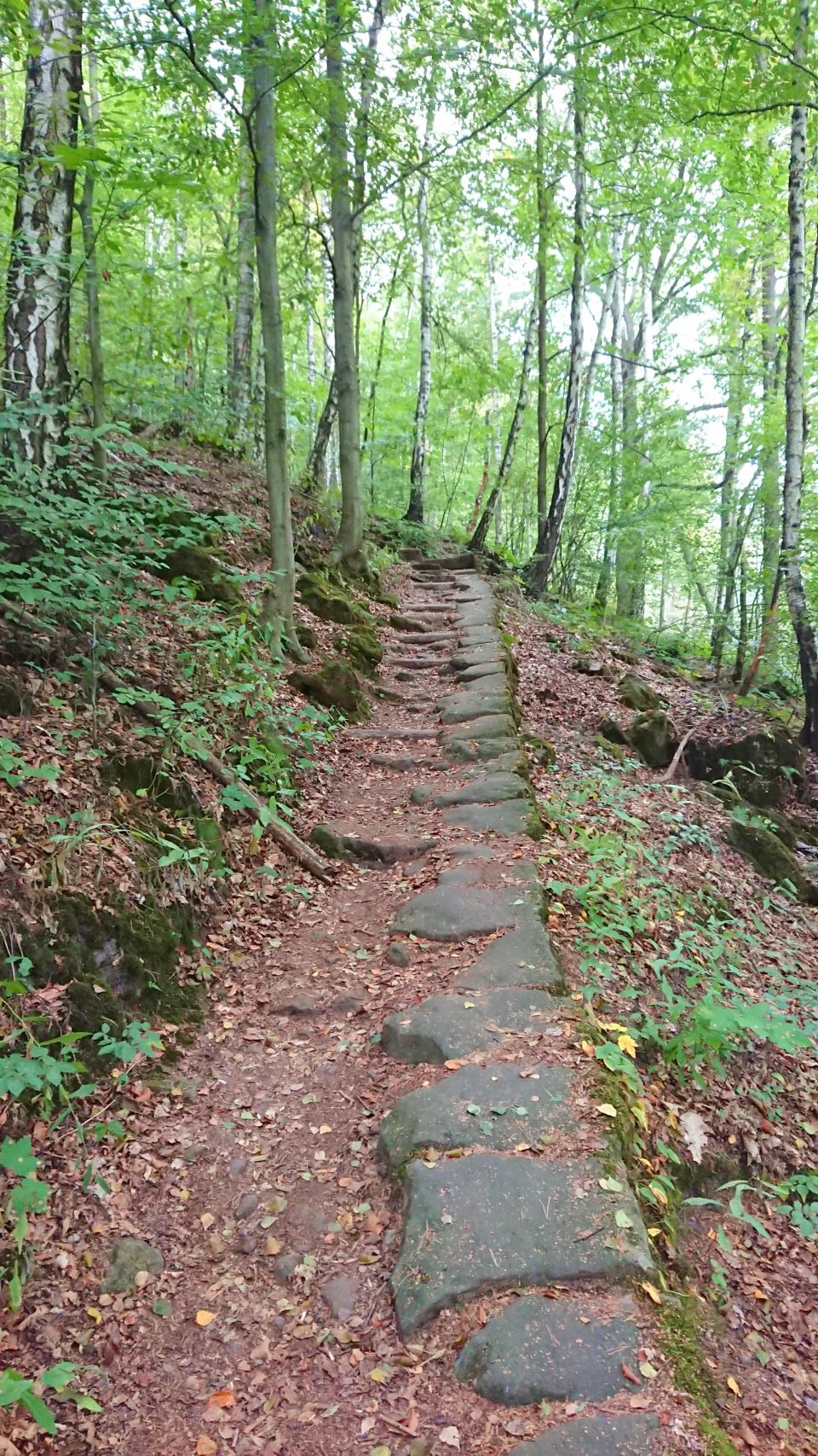 Aschersteig