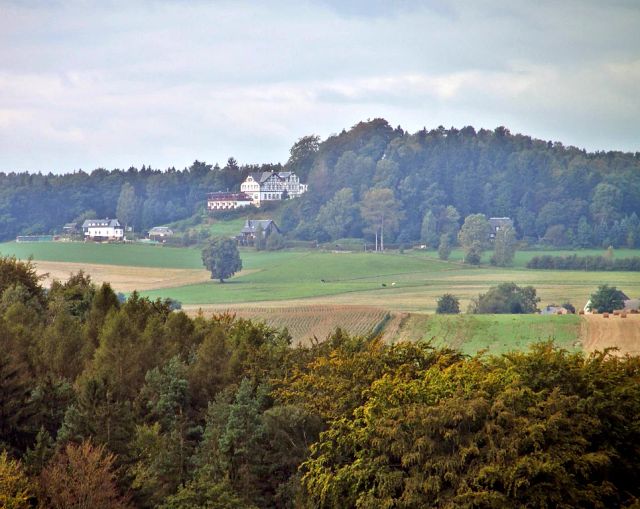 Der Mischwald um Reinhardtsdorf