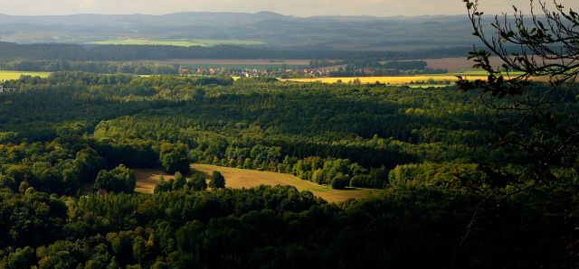 Die „Struppener Ebenheit“ und Apfelplantagen